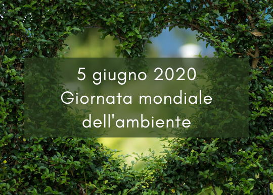 giornata mondiale ambiente.png